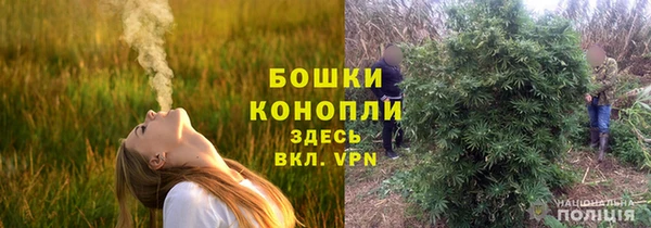 ECSTASY Новодвинск