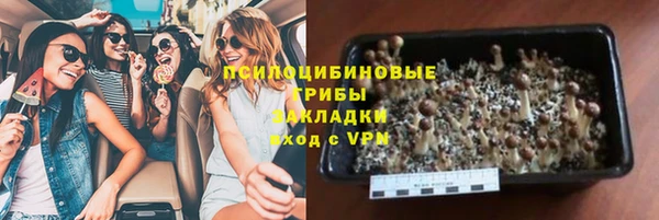 ECSTASY Новодвинск