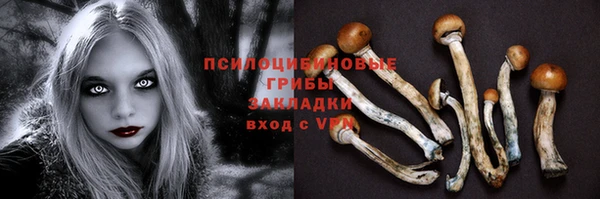 ECSTASY Новодвинск