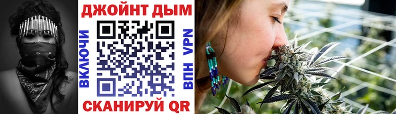 Конопля сатива Мураши